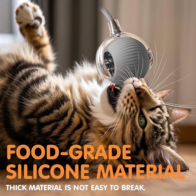 Rocfish Durable Interactive Cat Toys for Indoor Cats (Grey, 01)