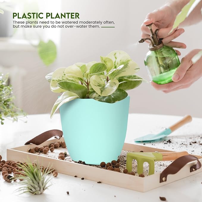 Plant Pots Indoor with Drainage, 5 Pack Multi-Size Planters Set, Aqua | Drainage holes included Multiple sizes 7/6.6/6/5.3/4.8 In Indoor plants and flowers Durable plastic construction