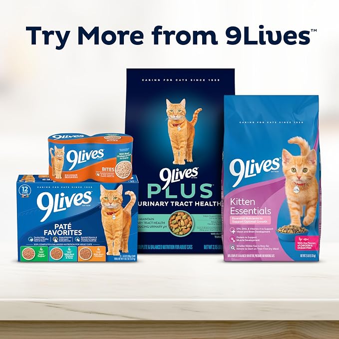 9Lives Indoor Complete Dry Cat Food, 20 lb. Bag