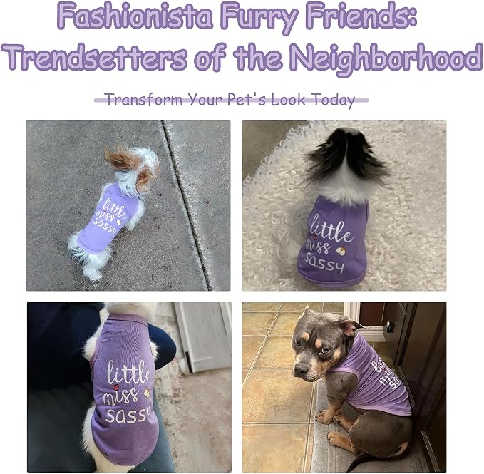 Dog Clothes Fashionable Sleeveless Pet Vest: 'Little Miss Sassy' Printed Cotton Dog Shirt, Ideal for Small, Medium, and Large Breeds, Ensuring Comfort and Breathability Purple M