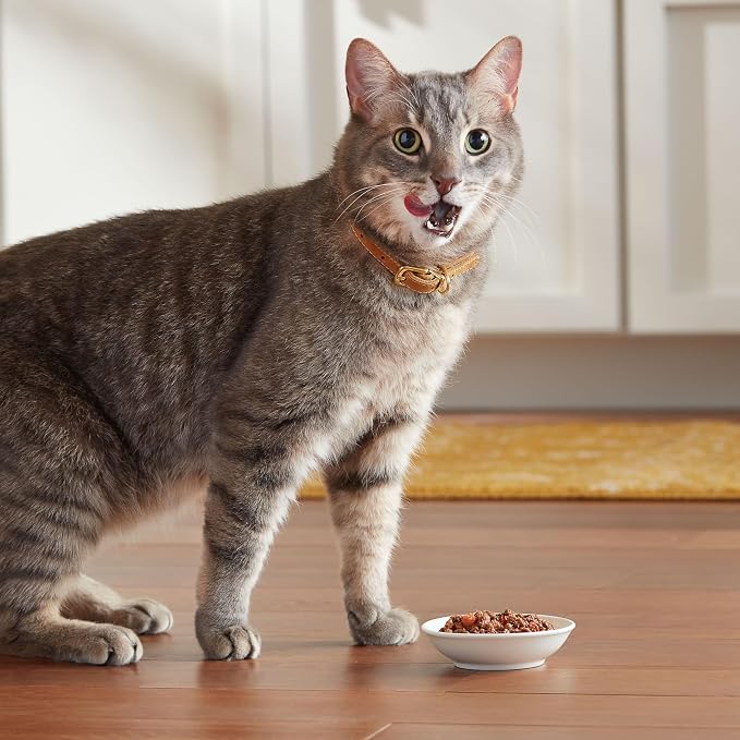 Meow Mix Tenders in Sauce, Wet Cat Food with Tuna & Whole Shrimp, 12 Cups