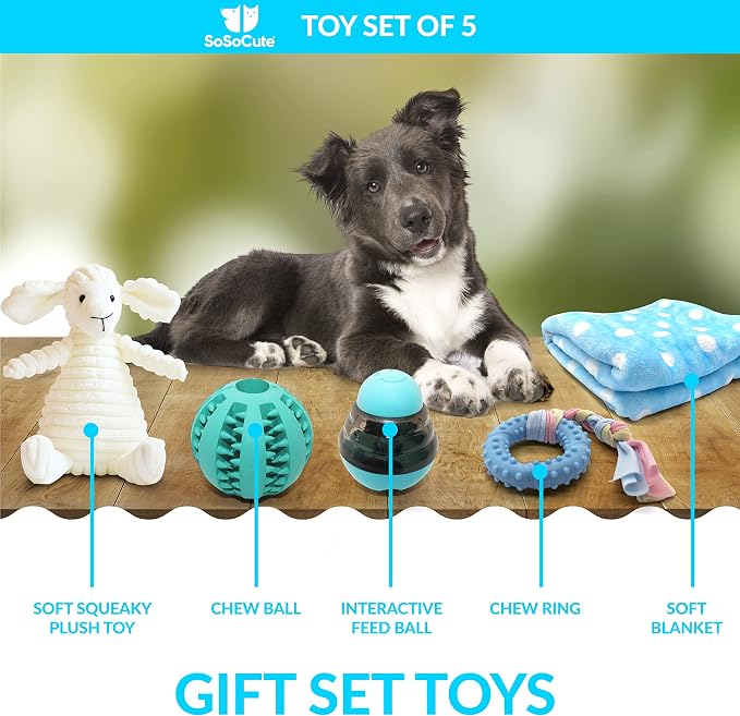 Puppy Starter Kit – 5pc Dog Toy Gift Set for Small Dogs – New Puppy Essentials Gift Box with Blanket, Squeaky Plush, Teething Ring, Treat Ball & Chew Ball (Blue)