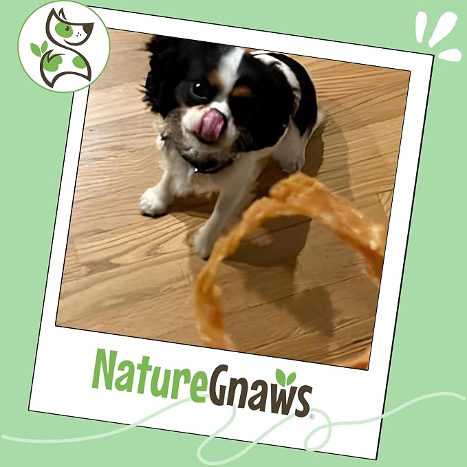 Nature Gnaws USA Turkey Tendon Rings Dog Treats, 8 oz | Grain Free Reward Snack for Small, Medium & Large Breeds - Premium Natural Dog Chew Treats - No Artificial Preservatives