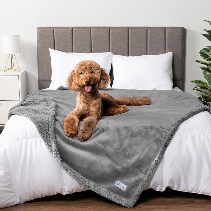 PetAmi Waterproof Dog Blanket for Large Dog Pet, 90x90 Queen, Light Grey | 460 GSM Sherpa Fleece Reversible, Pee Proof Cat Blanket, Furniture Protector Cover for Bed Sofa Kennel, Washable, Queen Size