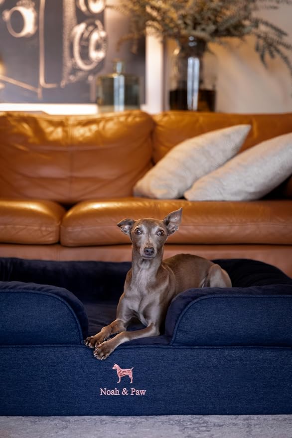 NOAH & PAW Large Dog Bed, 35x25x11 Inch, Orthopedic Dog Beds, Eggshell Memory Foam Infused with Cooling Gel, Inner Cover, Water Resistant, Machine Washable (Denim Sofa Collection)