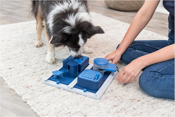 TRIXIE Poker Box 2 Dog Activity Interactive Toy, Level 3 Food Puzzle Game, Brain Teasing Treat Dispenser, IQ and Mental Development Toy for Smart Dogs, Enrichment Toy for Boredom Busting