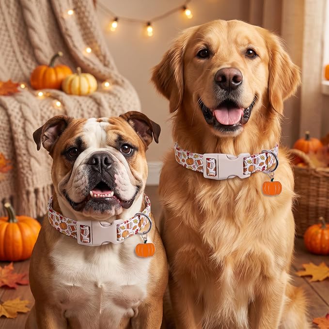 Fall Dog Collar, Large Collar for Large Girls Boys Dogs, L