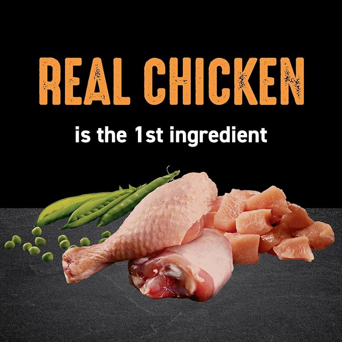 CRAVE Grain Free High Protein Natural Adult Dry Cat Food, Chicken, 10 lb | 40% protein, real chicken #1 ingredient, all natural ingredients, no by-product meal, no corn, wheat, soy, supports muscles
