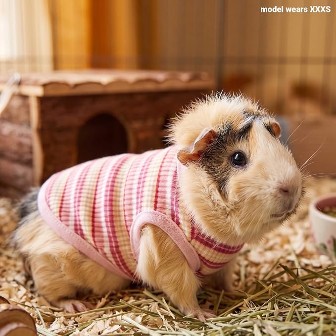 Guinea Pig Clothes (2-Pack), Striped Small Animal Vest T-Shirt | Soft Breathable Small Pet Apparel & Costume for Rat, Guinea Pig, Rabbit, Chinchilla, Ferret, Kitten