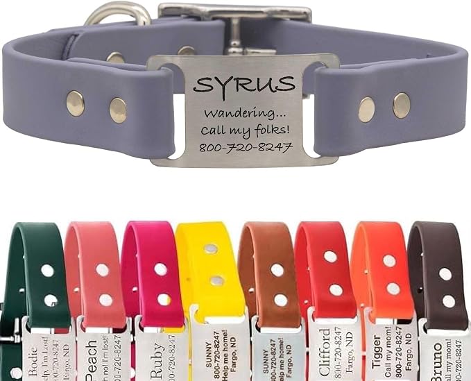 dogIDs Personalized Dog Collar – ScruffTag Custom Waterproof Biothane Dog Collar with Laser-Engraved Name, Durable & Odor-Resistant – USA Made | Grey, 3/4 in x 16 in (Fits Neck Sizes 14-18 in)