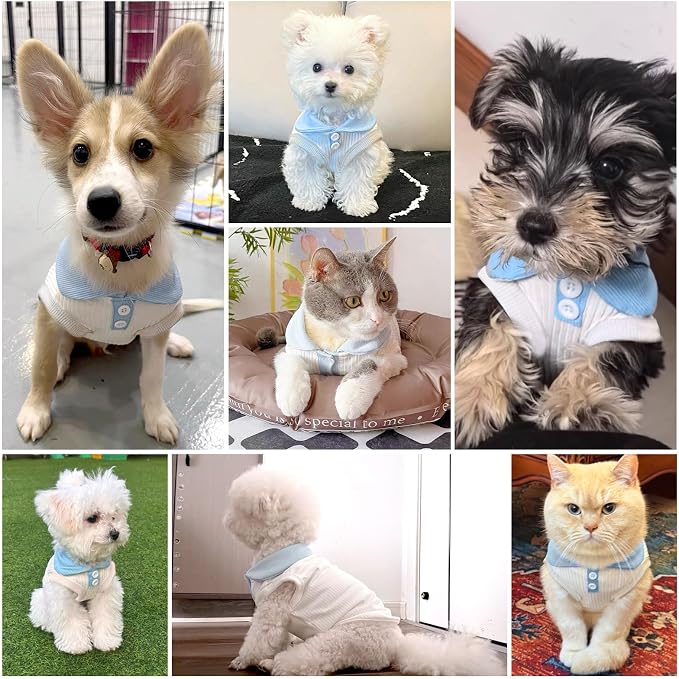 Dog Tshirts for Small Dogs Polo Shirt Stretchy Dog T Shirt Breathable Dogs Cooling Vest Girl Boy Puppy Dachshund French Bulldog Frenchie Chihuahua Clothes