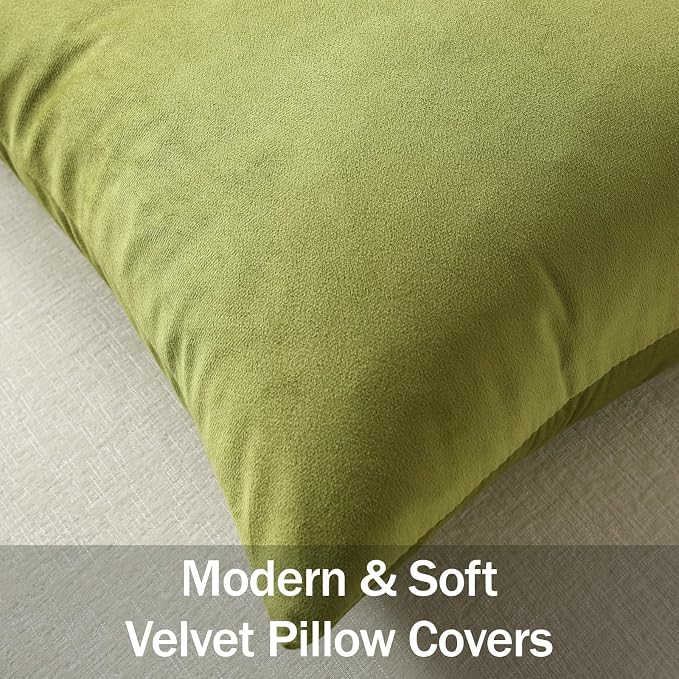 Lumbar Pillow Covers 12x20 Chartreuse: Pack of 2 Cozy Soft Velvet Rectangular Modern Luxury Decorative Throw Pillow Cases for Sofa Couch Living Room Bed Home Decor