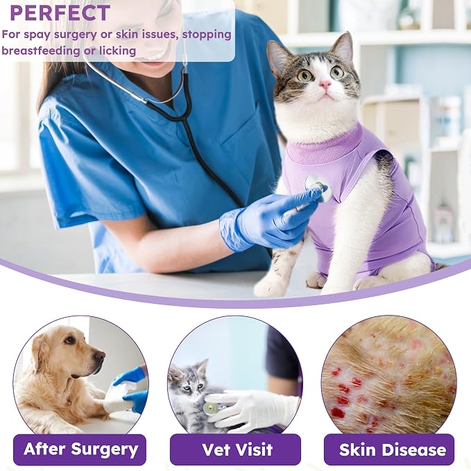 Hpetppy Cat Recovery Suit for Spay Abdominal Wound, Breathable Kitten Onesie for Cats After Surgery, Anti Licking Cat Cone Alternative, Pet Surgery Recovery Shirt-Purple(L)