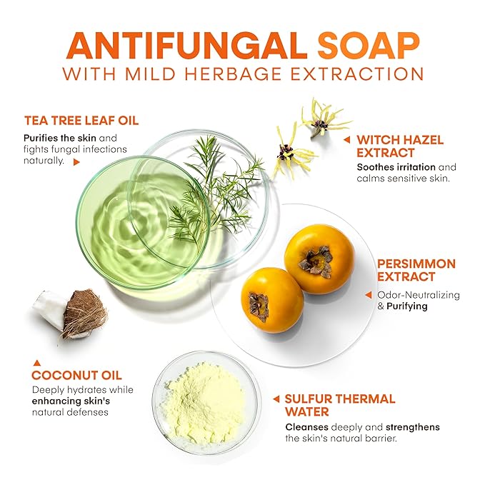 Hermon Antifungal Soap Bar: Antifungal Soap Treatment for Ringworm, Jock Itch & Athlete’s Foot with Tea Tree Oil – Medicated Odor-Neutralizing Persimmon Soap for Persistent Body & Aging Odor, 2Bars