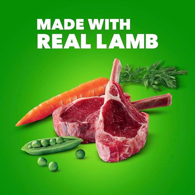 IAMS Proactive Health Chunks in Gravy Wet Dog Food, Lamb, 13 oz, 12 Pack | Real lamb, Omega 6 fatty acids, 100% complete & balanced, no artificial flavors or soy, supports healthy skin & coat, canned