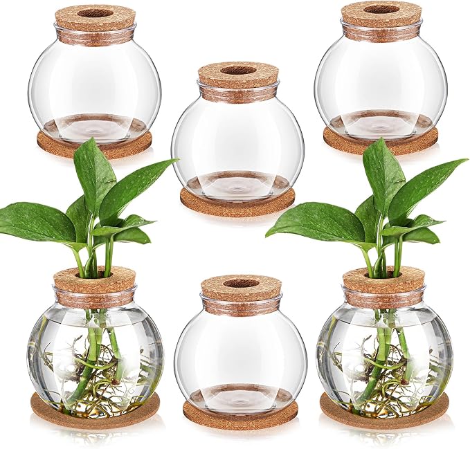 6 Packs Propagation Vases for Plants Plastic Plant Propagation Station with Hole Lid and Cork Coasters Plant Growing in Water Hydroponic Home Office Table Decoration(Fish Bowl Style)