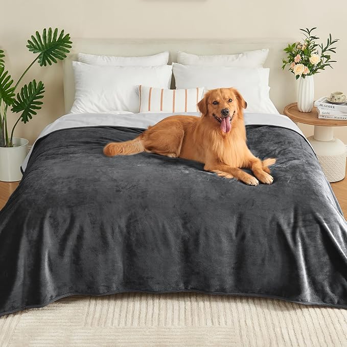Waterproof Blanket Bed Cover 60"x80" for Adults or Pets, Dark Grey | Soft Pet Blanket for Dogs Cats, Reversible Leakproof Blanket for Bed Couch Sofa, Furniture Protector