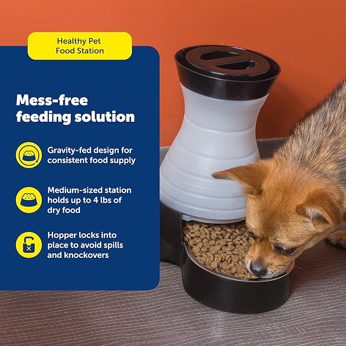 PetSafe Healthy Pet Food Station, 4 lb Gravity Feeder, Cats & Dogs, Medium | Dry Food Dispenser, Removable Stainless Steel Bowl Is Dishwasher Safe, Space-Saving Design