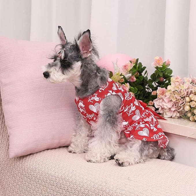 CuteBone Dog Mesh Dress Valentine's Day Puppy Sundress Pet Outfit Summer Fashion for Small Dogs Girl Cat Clothes