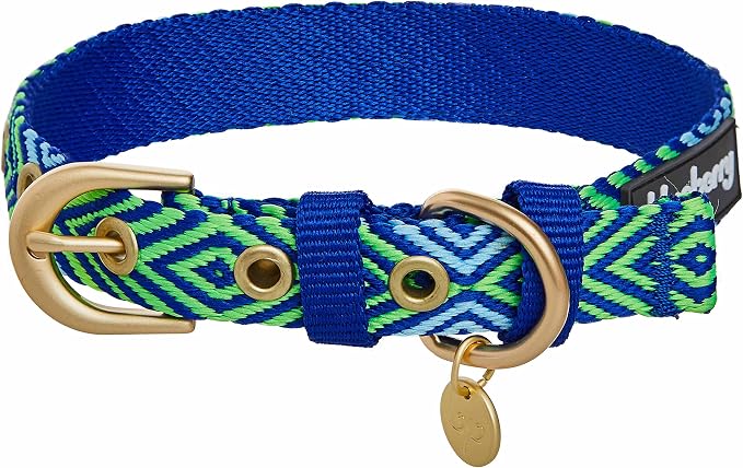 Blueberry Pet Southwestern Tribal Lozenges Stylish Green Adjustable Dog Collar with Metal Buckle, Neck 19.5-26", for Large Breed