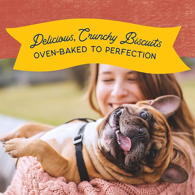 Natural Balance Rewards, Crunchy Biscuits, Salmon, 14 oz | Grain-Free Dog Treats for Adult Dogs, Limited-Ingredient Recipe, Made with Real Ingredients, Great for Training