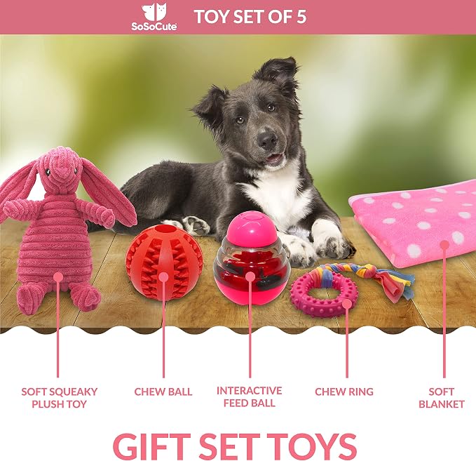 Puppy Starter Kit – 5pc Dog Toy Gift Set for Small Dogs – Blanket, Squeaky Plush, Teething Ring, Treat Ball – New Puppy Essentials Gift Box (Pink)