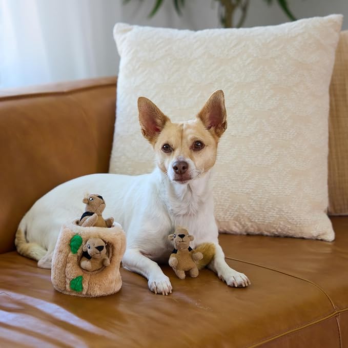 Outward Hound Squeakin' Squirrels Plush Squeaky Dog Toys, 3-Pack, 7"