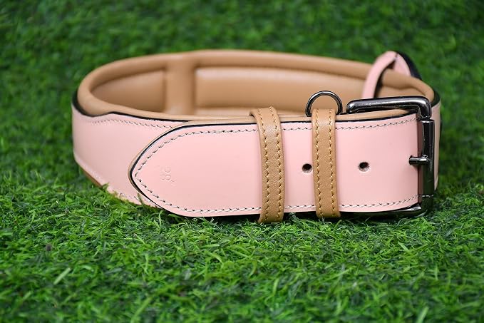 PAWSOFT® Airtag Leather Dog Collar for Medium Large and Extra Large Dog - Soft Padded, Heavy Duty Dog Collar Rust Proof Metal Buckle, Gift for Pets Size-XL (Fits Neck 21-25 inches) Pink