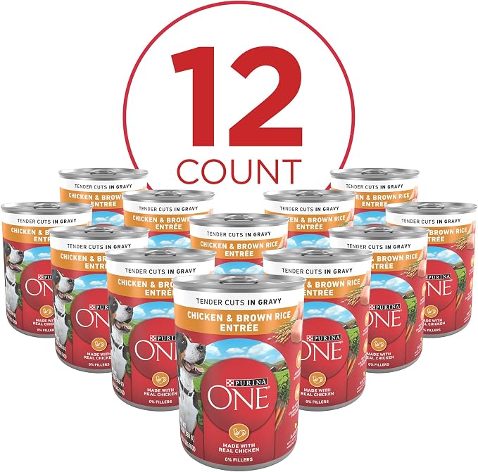 Purina ONE Chicken & Brown Rice Wet Dog Food, Tender Cuts, (12) 13 oz Cans | Tender Cuts in Gravy, natural, high protein dog food with zero fillers and added vitamins, minerals, and nutrients