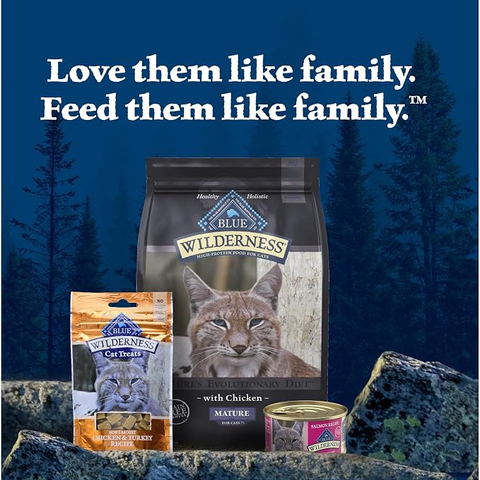 Blue Buffalo Wilderness Salmon Paté Adult Wet Cat Food, 5.5 oz, 24 ct | Real Salmon #1 Ingredients, High Protein & Grain-Free Recipes, Supports Energy for an Active Life