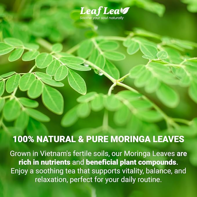 LeafLea Moringa Tea Bags, Pure Moringa Leaf Herbal Tea, 80 Count, 2 Boxes | Mild Earthy Moringa Oleifera Leaves, Foil-Wrapped Fresh, Caffeine-Free, Sugar-Free, Stock-Up Pack of 2
