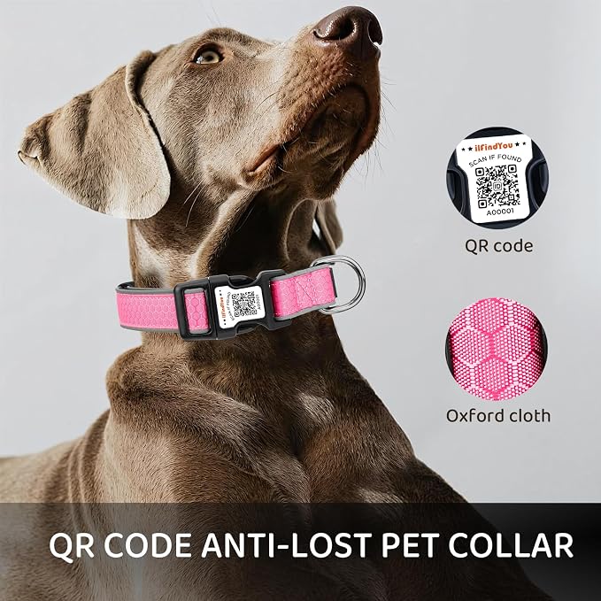 Personalized Dog Collar with QR Code Dog Tag, Oxford Pink S | Anti-lost, Oxford, reflective, padded, XS-L(8"-24"), QR buckle shares lost pet profile, location alerts when scanned, No Fees