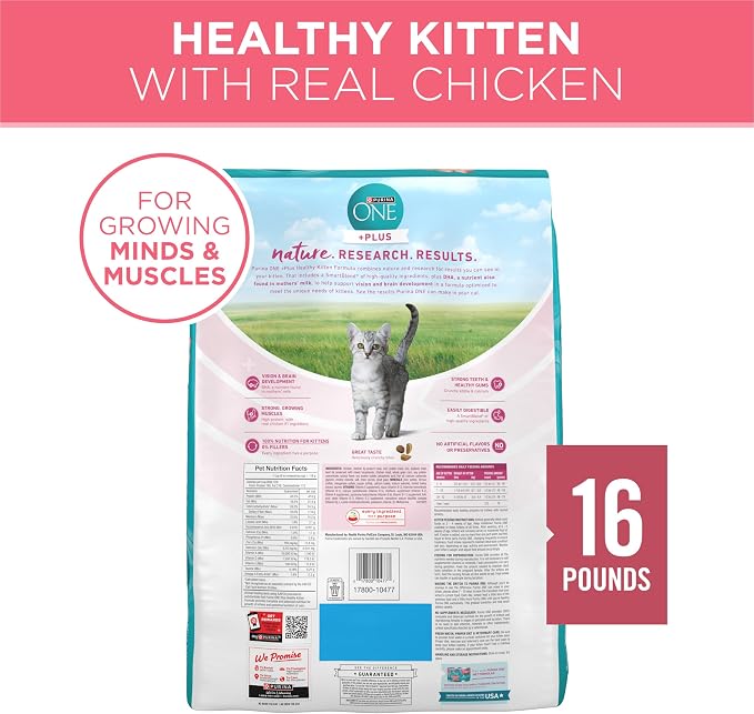 Purina ONE High Protein Natural Kitten Dry Cat Food, 16 lb Bag | Made with real chicken and L-carnitine to help burn fat, antioxidants for immune support and calcium for strong teeth