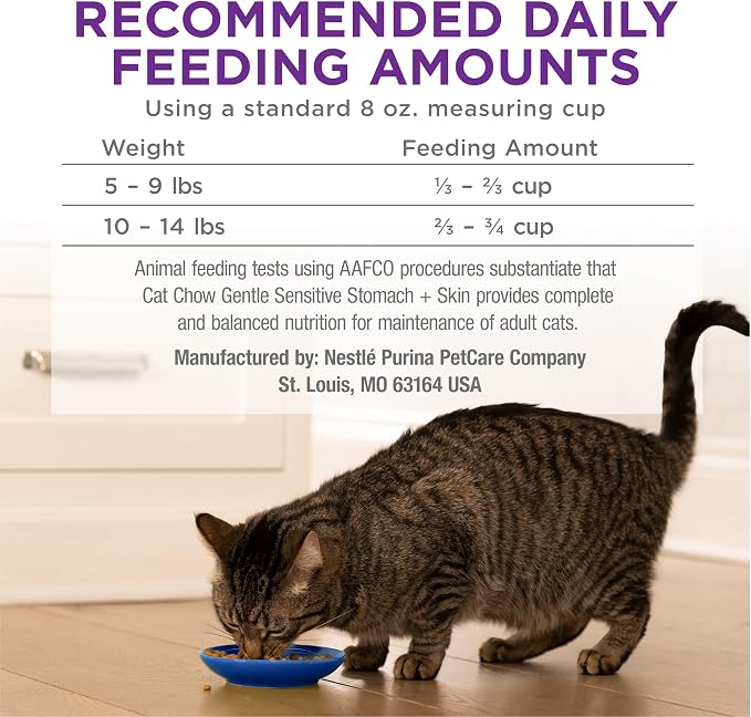 Purina Cat Chow Gentle Sensitive Stomach & Skin Dry Cat Food, 13 lb Bag
