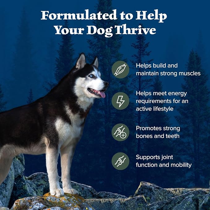 Blue Buffalo Wilderness Duck & Wholesome Grains Adult Dry Dog Food, 4.5 lb | 39g Protein, Real Duck #1 Ingredient, Antioxidant-Rich Fruits & Veggies, High Protein to Fuel Adventures