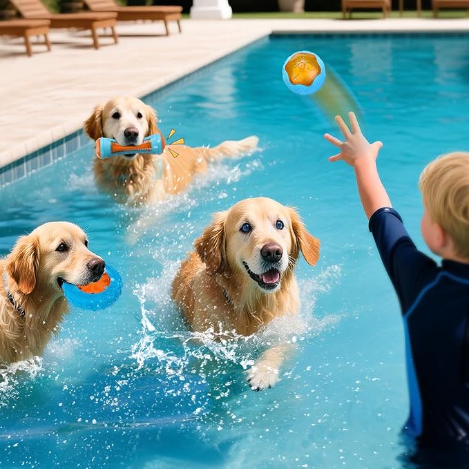 3 Pcs Interactive Dog Pool Toys, Water Floating Toys for Medium Large Dogs