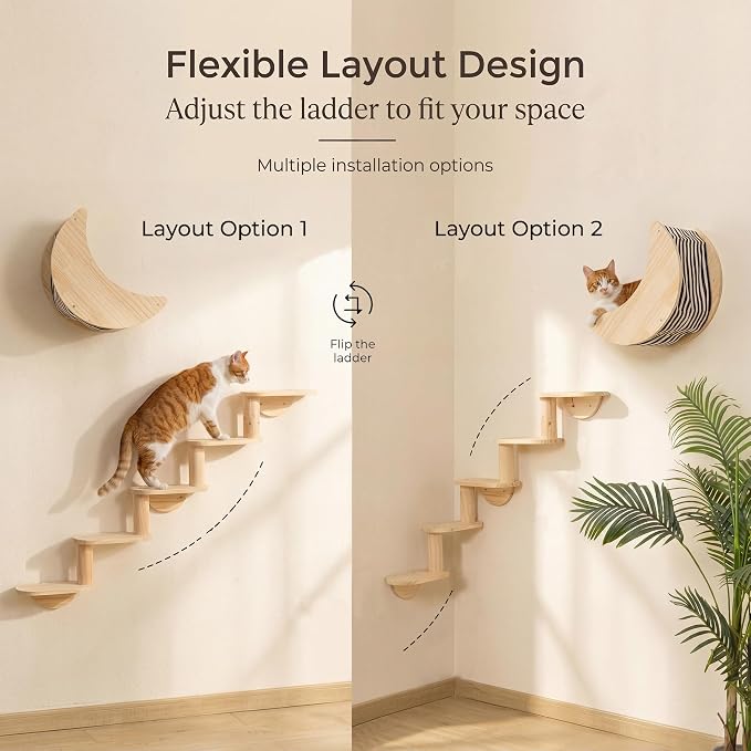 Cat Wall Shelves, Solid Wood Moon Bed, 5-Step Stairs for Vertical Climbing | 2-in-1 Wall-Mounted Cat Furniture;Wall & Corner Setup;16-Inch Stud Wall;Hold Up to 40 lb;Vertical Territory & Active Exercise