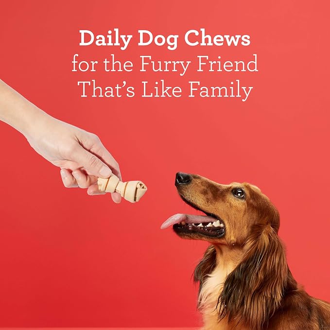 DreamBone Mini Bone Rawhide-Free Dog Treats With Real Protein, 24 Count | Daily Chew, Digests Safely and Completely, Made With Real Protein, Chicken and Veggies, For Adult Dogs