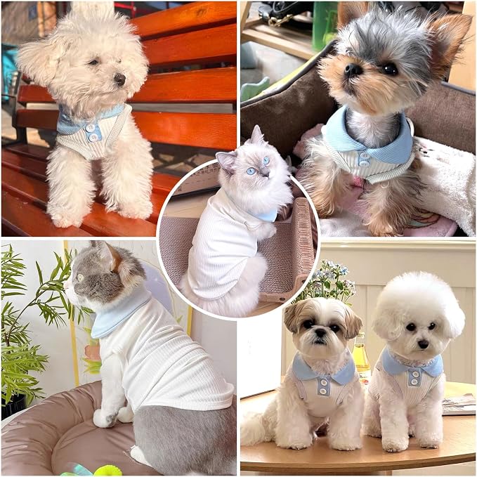 Dog Tshirts for Small Dogs Polo Shirt Stretchy Dog T Shirt Breathable Dogs Cooling Vest Girl Boy Puppy Dachshund French Bulldog Frenchie Chihuahua Clothes