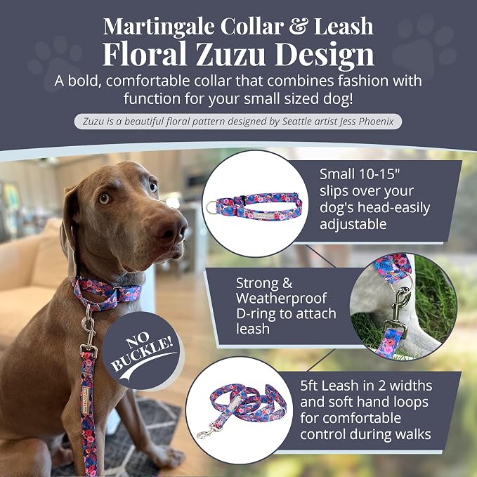 Lucky Love Dog Martingale Collar and Leash Set for Small Dogs – Zuzu, Small