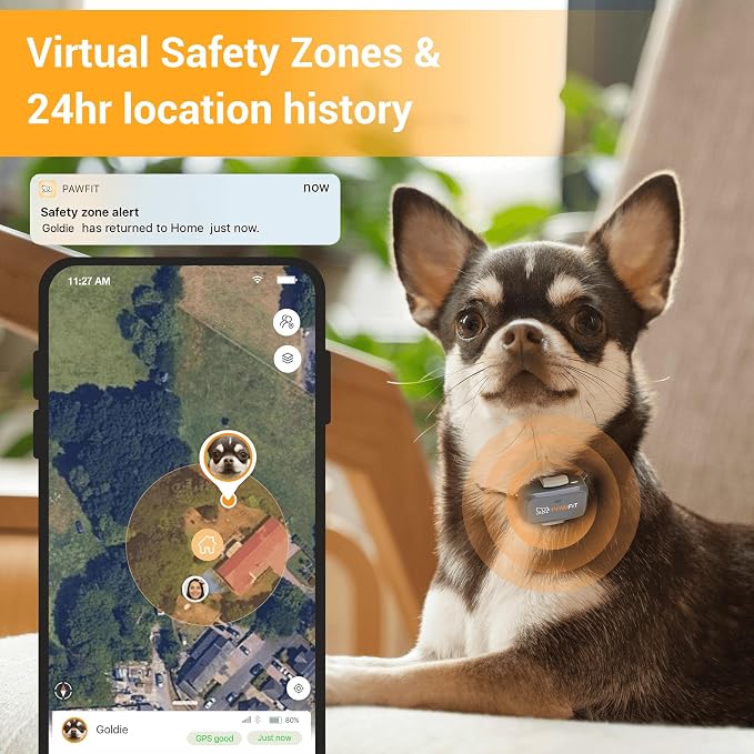 Pawfit Lite 4G GPS Dog Tracker, Live Tracking, Ultra-Light, Charcoal Grey