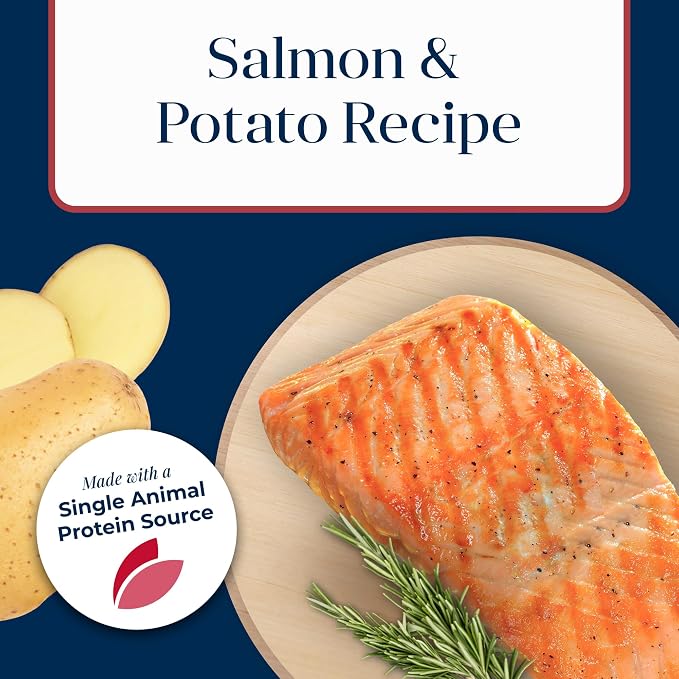 Blue Buffalo Basics Salmon Adult Skin & Stomach Care Dry Dog Food, 24 lb | Real Salmon #1 Ingredient, Limited Ingredient Diet, Antioxidant-Rich LifeSource Bits, Skin & Coat Health