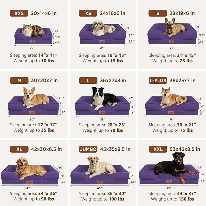 Comfort Expression Waterproof Orthopedic Dog Beds for Extra Large Dog | Supportive Egg Crate Foam XL Dog Bed with Removable Bolster, Dog Couch with Washable Cover & Non-Slip Bottom, 45x35 Inch