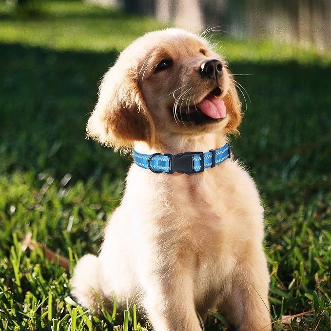 Mile High Life Reflective Dog Collar, Adjustable Lightweight Quick Release