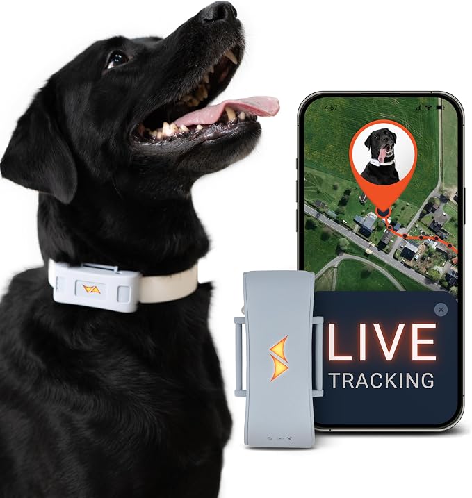 PAJ Dog GPS Tracker 3-Month Subscription Included, Real-time Pet Tracking