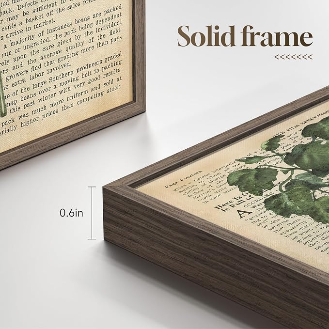 Framed Vintage Botanical Wall Art, Set of 6 Green Leaf and Fern Canvas Painting Prints, Rustic Farmhouse Plant Artwork for Living Room Bedroom Kitchen Dining Room Office Apartment Decor, 11x14 Inch