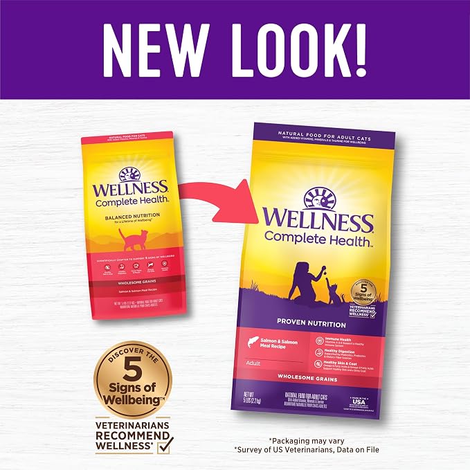 Wellness Complete Health Adult Dry Cat Food, Natural, Wholesome Grains Kibble, Salmon Recipe, 5 lb Bag