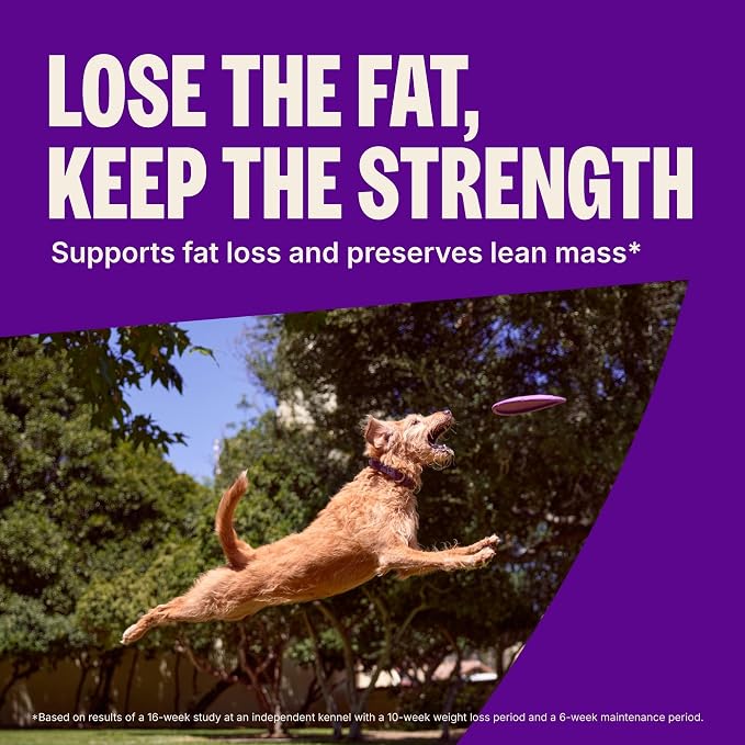 Wellness CORE Healthy Weight Adult Dry Dog Food, Grain Free Kibble, Natural, High Protein, Turkey and Chicken Recipe, 12 lb Bag