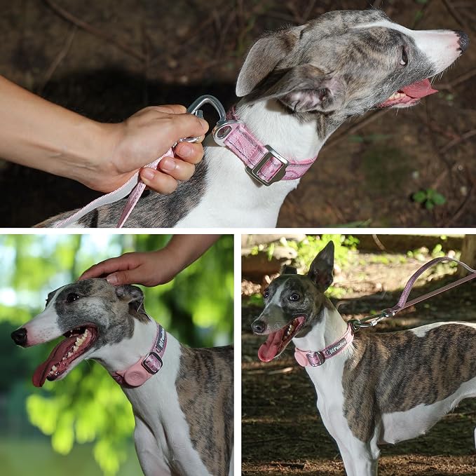 AirTag Dog Collar, Reflective Nylon, Metal Buckle, IP68, Dog Collar with AirTag Holder, Heavy Duty Dog Collars for Large Medium Small Dogs (Blush Pink, S：Width 3/4",Neck 9.8"-15.4")