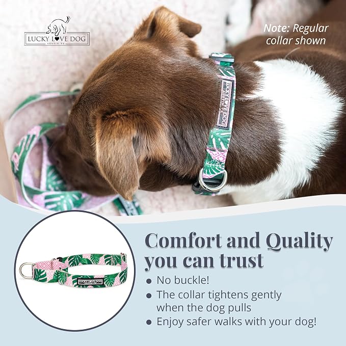 Lucky Love Dog Martingale Collar for Medium Dogs No Slip – Laguna, Medium